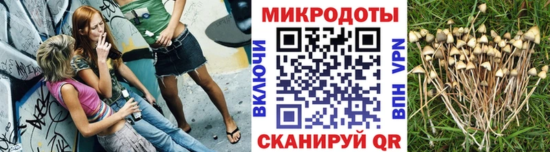 закладка  Анапа  Галлюциногенные грибы прущие грибы 